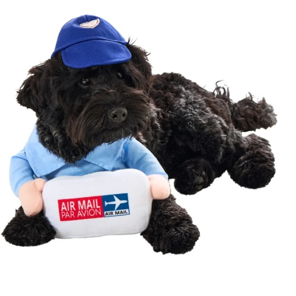 Funny Mail Carrier Pet Halloween Costume Size Small NEW!